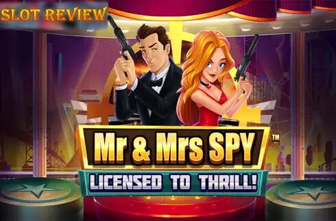 Mr and Mrs Spy icon